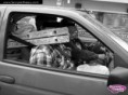 /album/srandovni-a-hloupe-napady/incomprehensible-ladder-in-the-car-unverstandlich-leiter-im-auto-echelle-incomprehensible-dans-la-voiture-nepochopitelny-zebrik-v-aute-jpg/